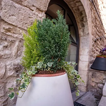 Perfetta Letizia Casa Appartamento
